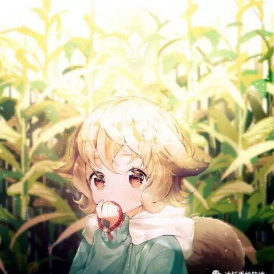 甜玉米为新疆儿童点亮足球梦